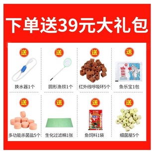living aquarium fish Creative tank deQsktop glass room