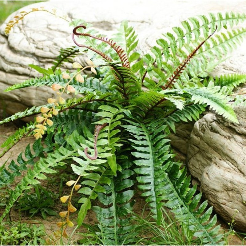 仿真波斯草蕨类植物假绿植墙面肾蕨叶子客厅装饰塑料盆栽假花盆景