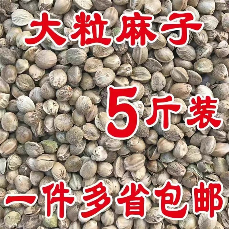 鸟食大颗粒麻子2024新货火麻仁鹦鹉鸟粮麻籽饲料仓鼠粮鸽粮饱满