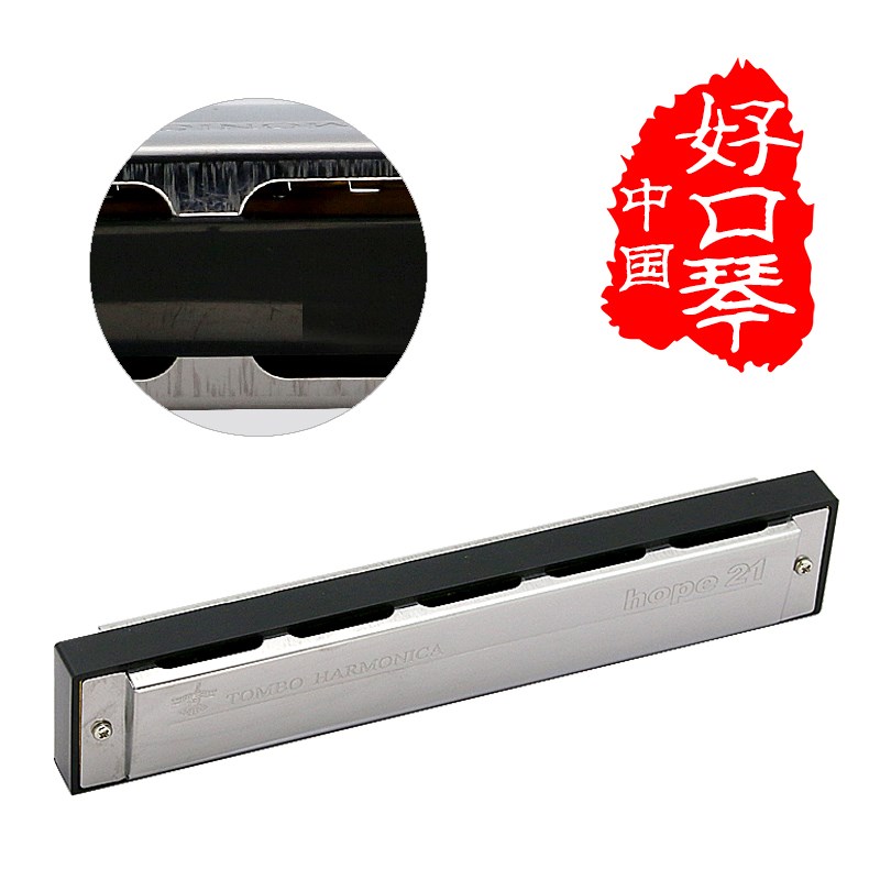 通宝6621复音口琴21孔专业高级成人初学#D E F G A B C调乐器