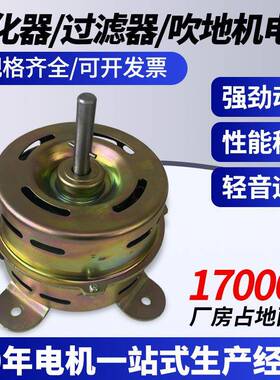 净化器/过滤器/吹地机电机无刷微型电机1200-1800RPM直流电机