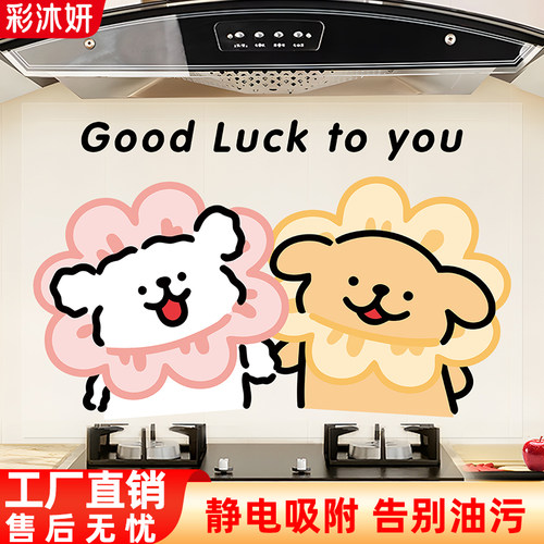 厨房防油贴纸油烟机灶台
