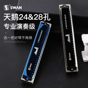 天鹅口琴24孔初学者学生儿童入门男士复音28孔重音演奏级