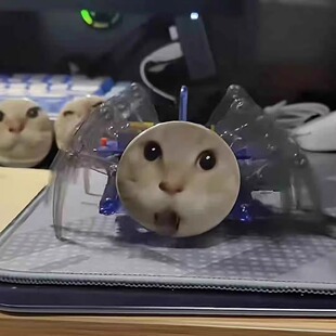 蜘蛛耄耋猫猫diy材料包手工制作猫meme电动蜘蛛机器人动物模型款
