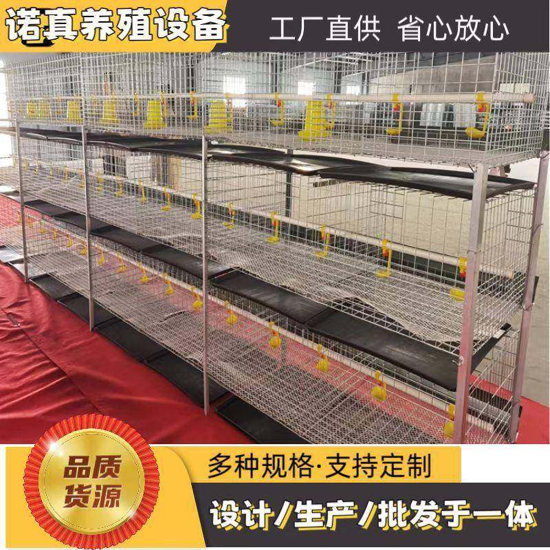 厂家供应立式防锈三层2门白槽肉鸡笼养殖养鸡设备后热镀锌,畜牧/养殖物资,特种养殖设备,淘宝优惠券,粉丝福利购,淘宝优惠卷
