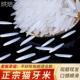 猫牙米10斤泰国香米形状长粒香大米丝苗米煲仔饭专用米官方旗舰店