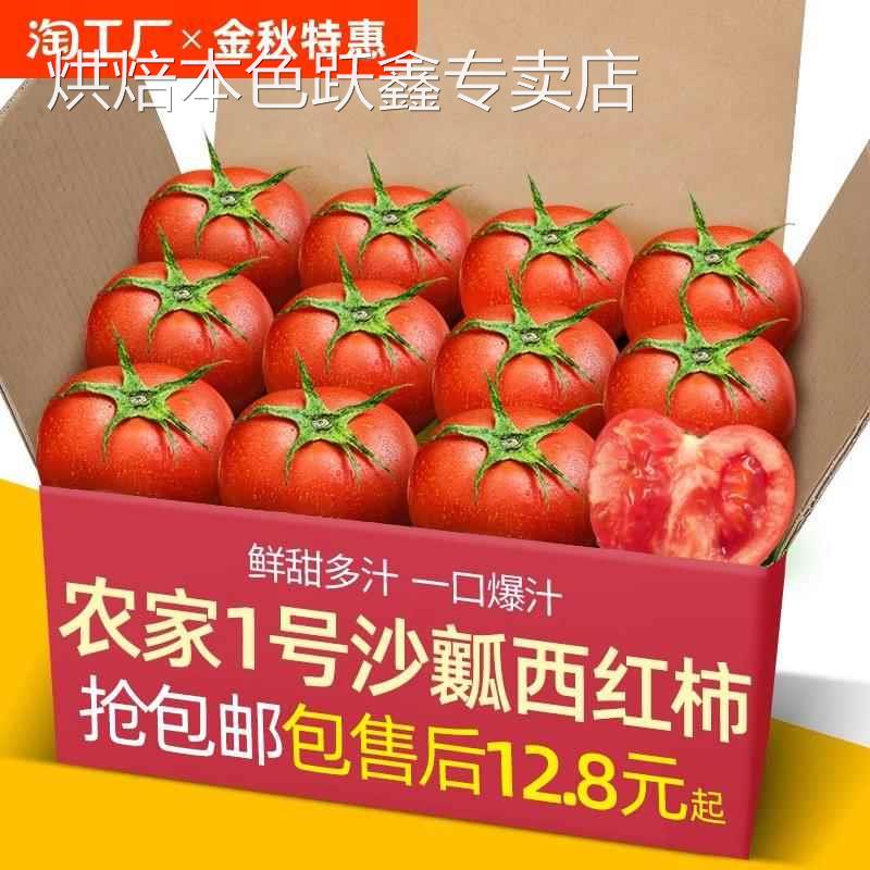 农家1号沙瓤西红柿自然熟非铁皮柿子水果普罗旺斯番茄自提配送
