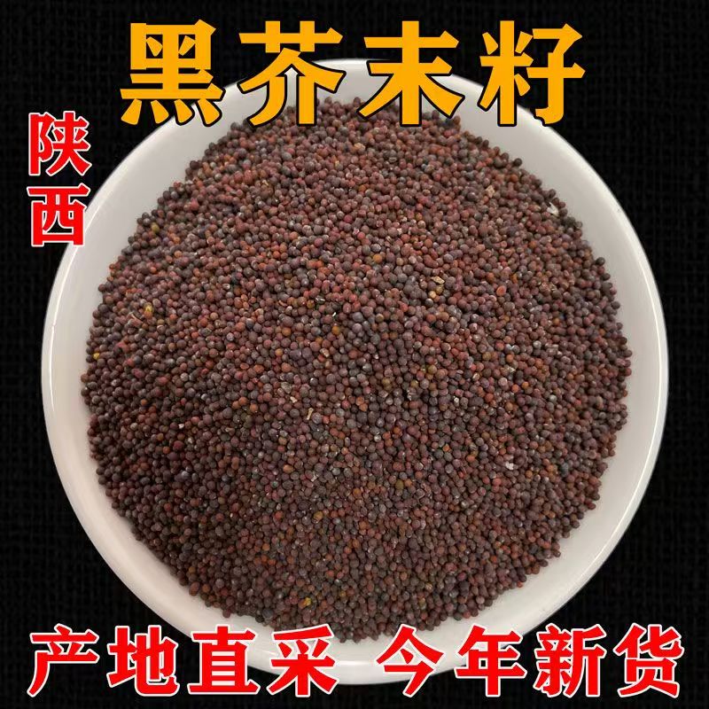 今年新货陕西黑芥末籽芥籽黄芥末子芥子可现磨芥末粉可自制芥末酱