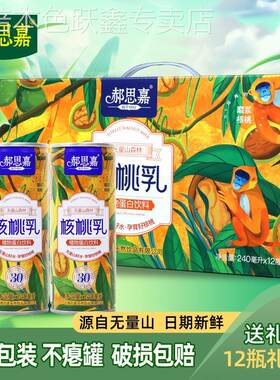 云南景东郝思嘉核桃乳原味240ml*24瓶礼盒核桃饮料植物早餐蛋白奶