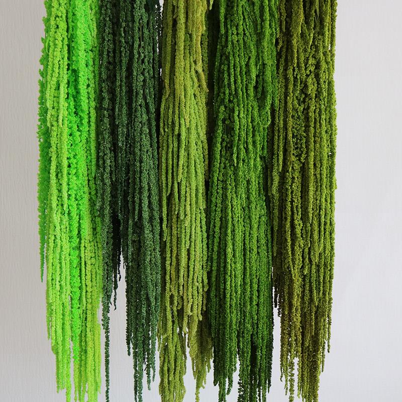 吊米永生花婚庆花材柔丽丝情人泪展会布景装饰干 干燥花花束高级