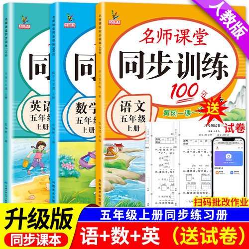 小学五年级上下册同步训练练习册