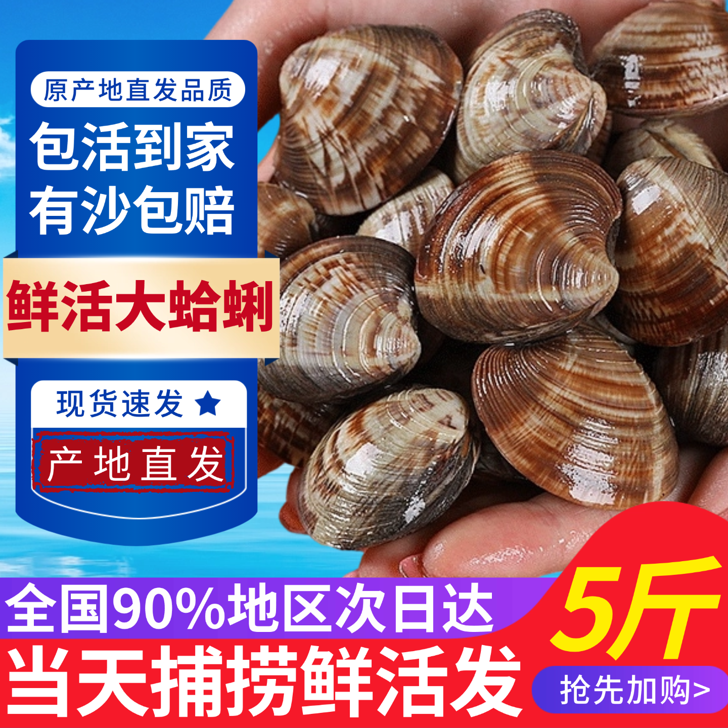 鲜活蛤蜊海捕无沙超大特大花蛤文蛤非黄蚬子花甲贝类海鲜美贝包活