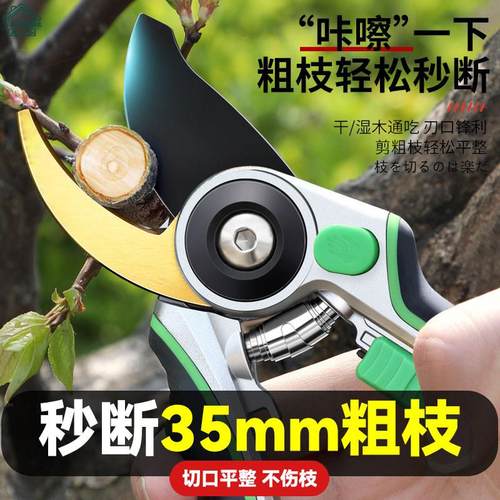 日本精工剪树枝专用剪刀园艺园林花卉果树花木剪修枝剪多功能省力