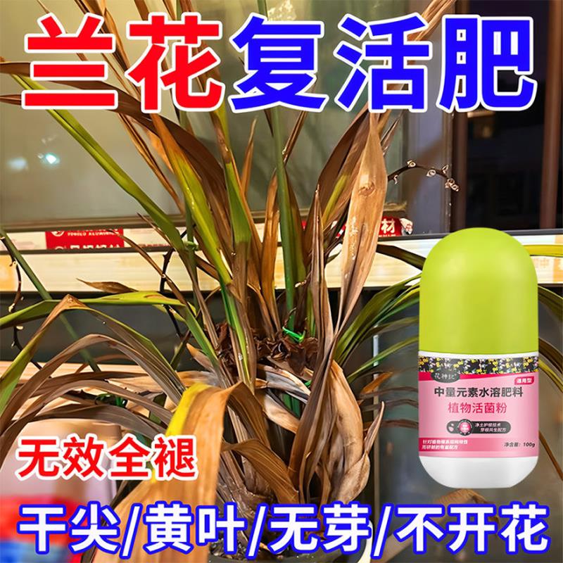 垦博士活菌粉兰花专用微生物菌剂蝴蝶兰养根壮根水溶肥养花肥料