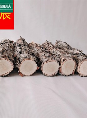 木铁桦树桦木原木铁桦原木装饰树隔断橱窗隔断湿木料
