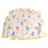 儿童夏凉被婴儿空调被新生宝宝棉被春秋小被子幼儿园盖被夏季 薄款