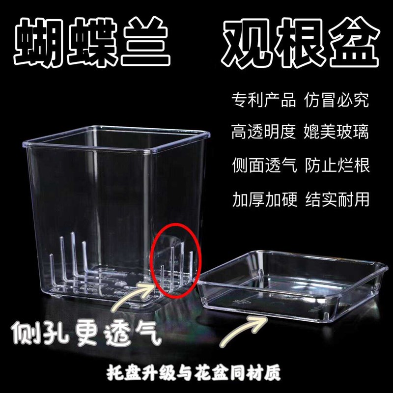 识兰高透明方形透气简约塑料桌面花盆蝴蝶兰洋兰专用观根控根盆