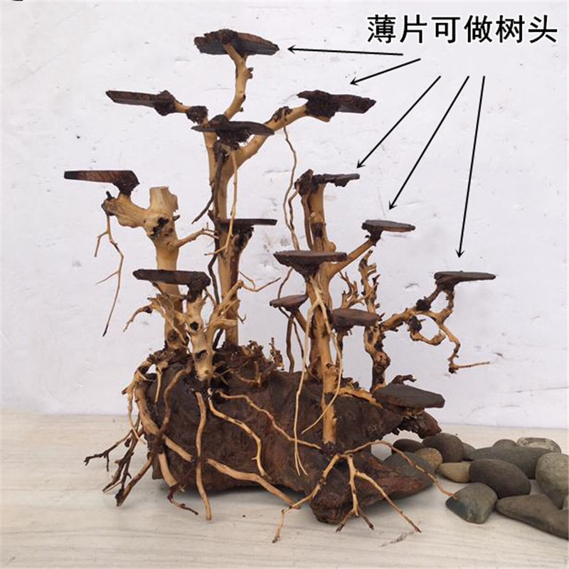 沉木小树桩紫柚木墩鱼缸造景乌龟晒台爬宠水陆缸草缸微观摄影摆件