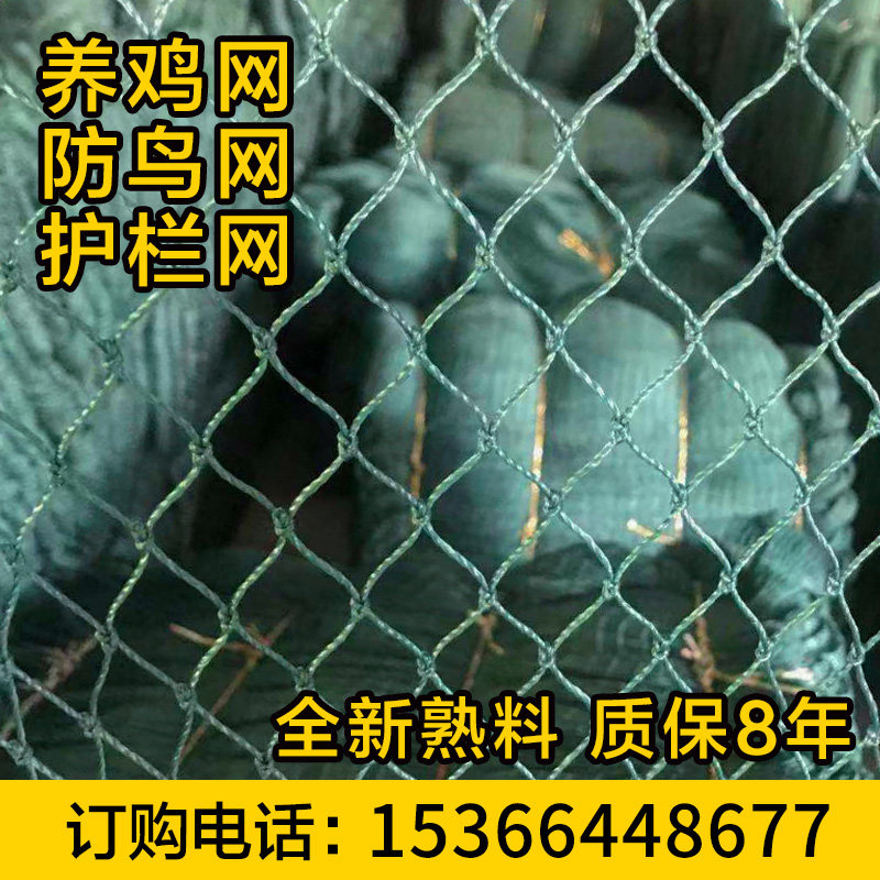 加粗养鸡网家禽养k殖网天网拦鸡鸭网塑料网防护网菜园围栏网尼龙