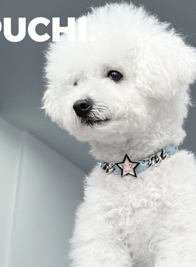 《Pet.五角星星牛仔》牛仔星星甜酷y2k风宠物项圈猫狗项链