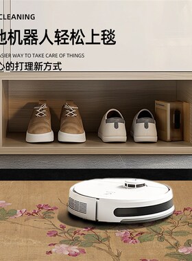 入户门室外地垫2025q新款高级感进门室内耐脏免洗防滑地毯可裁剪