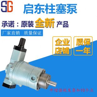 100YCY 63YCY 80YCY 1B启东柱塞泵 160YCY14 25YCY 10YCY 40YCY
