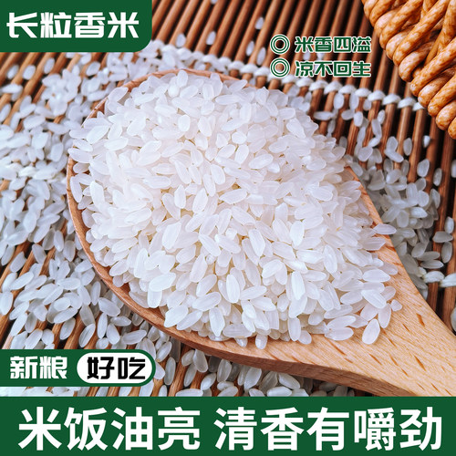 东北长粒香米大米新米黑龙江粳米现磨稻米饭主食香米粥秋收新货