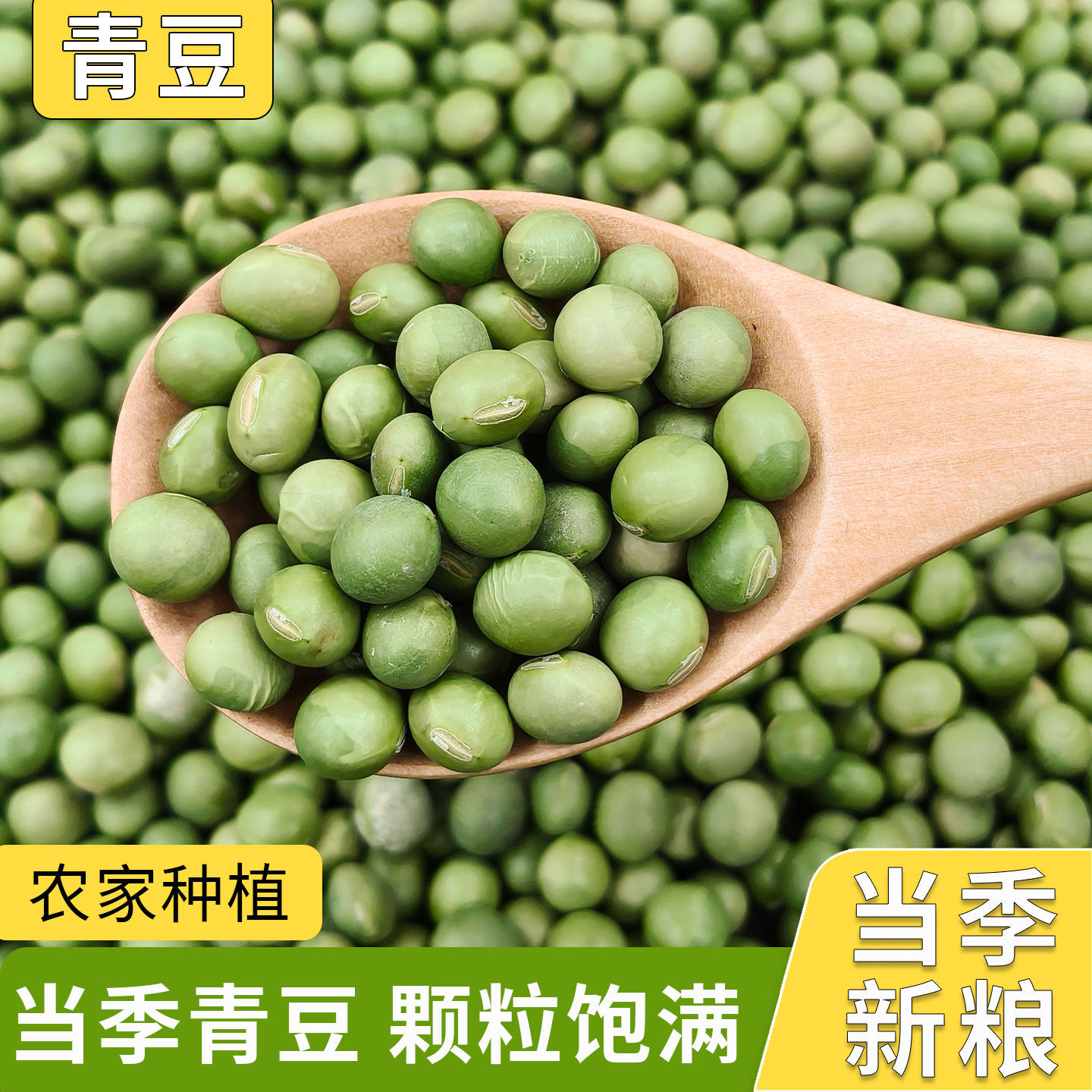 新大青豆5斤 农家生大青豆青皮青芯大青豆双青豆做豆腐豆浆泡菜豆
