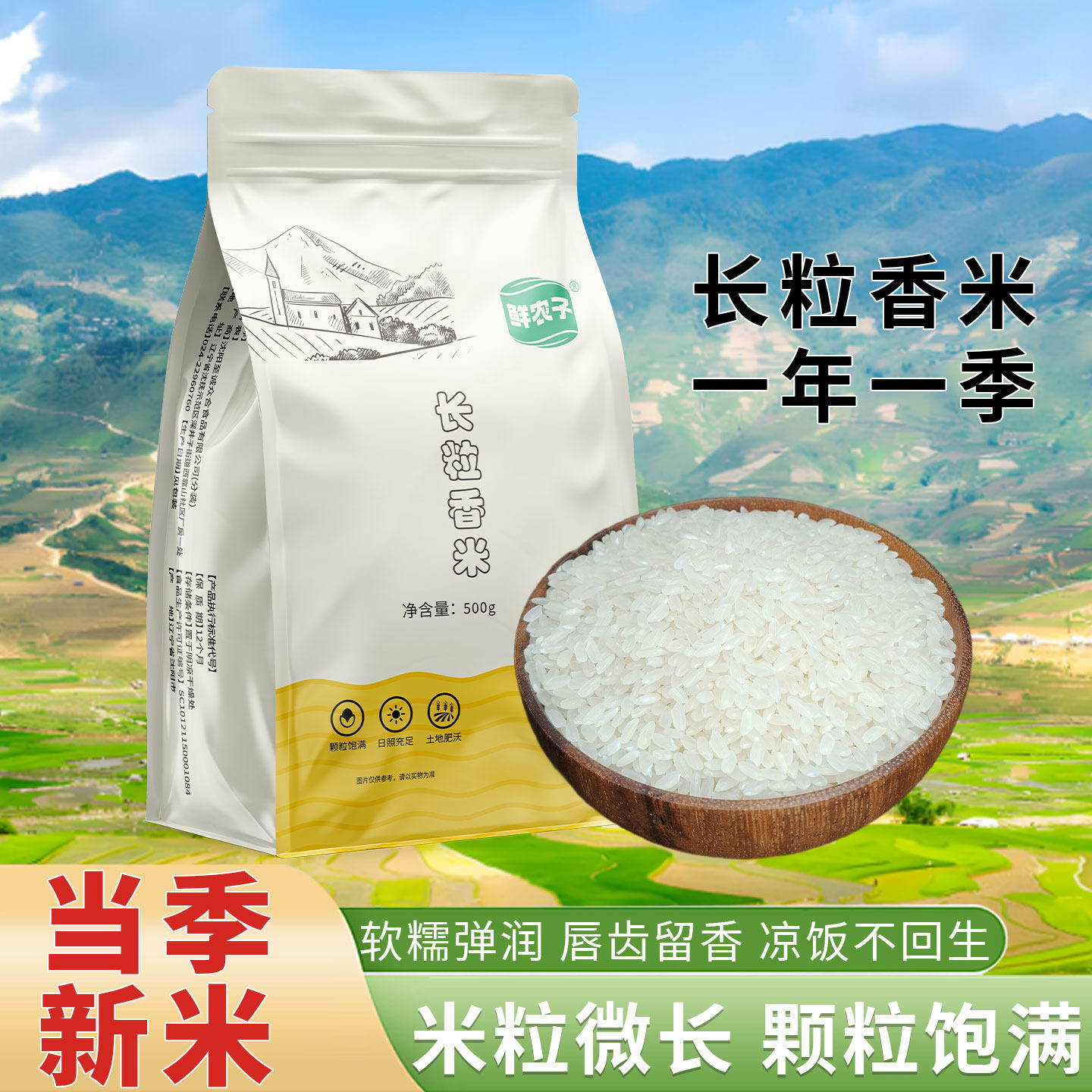 东北辽河长粒香大米2.5kg东北粳米香米5斤劲道有嚼劲东北大米 - 实物图