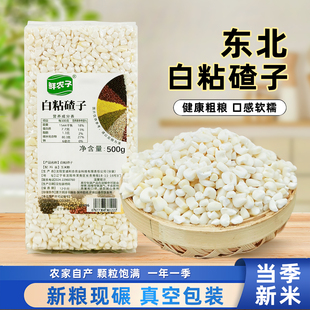 真空装 特产新鲜白糯玉米大碴子现磨粘农家玉米糁渣粥杂粮粗粮