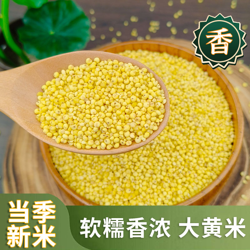大黄米24年新糯小米东北农家特产黍米软米黏黄米饭包粽子五谷杂粮