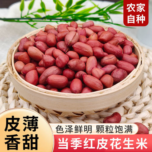 东北红皮花生米25年农家新货不带壳四粒红新鲜小粒红衣花生仁400g