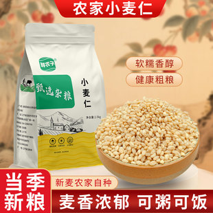 东北脱皮小麦仁去皮小麦粒2025年新鲜麦仁米煮粥带胚芽麦仁酵子