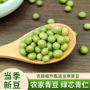 新货大青豆5斤老品种大青豆生干青豆青仁青芯双青豆250克