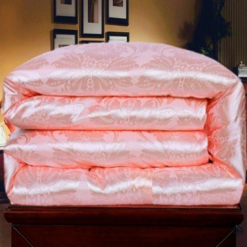 被子冬被全棉加厚保暖棉被芯春秋被双E人单人学生被冬季被8斤10斤,床上用品,化纤被,淘宝优惠券,粉丝福利购,淘宝优惠卷