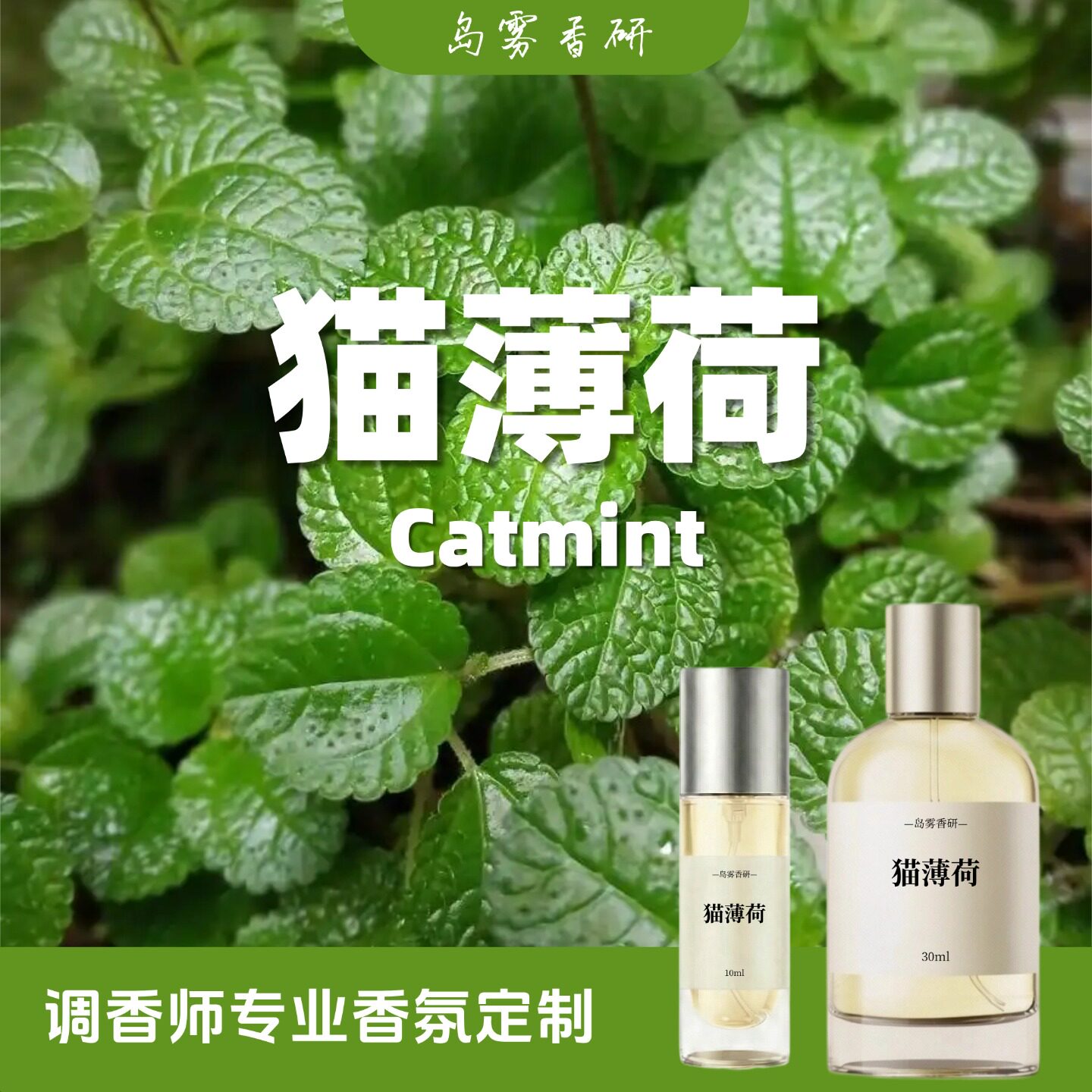 猫薄荷味香水 逗猫神器 草本绿意 清新伪体香 铲屎官小众独特香