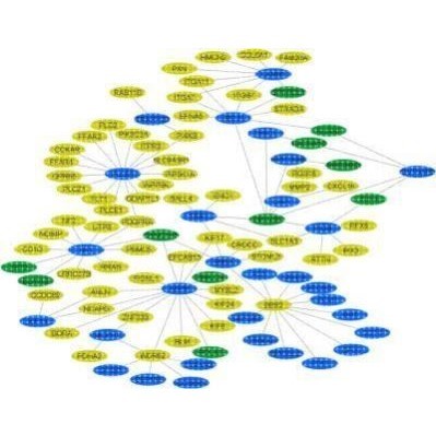 植物生物信息学分析GWAS转录组WGCNA代谢组等