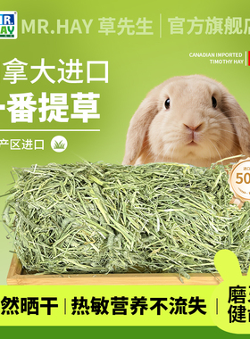 Mr.Hay草先生提摩西草干草晒干草兔子粮龙猫荷兰猪草粮食加提进口