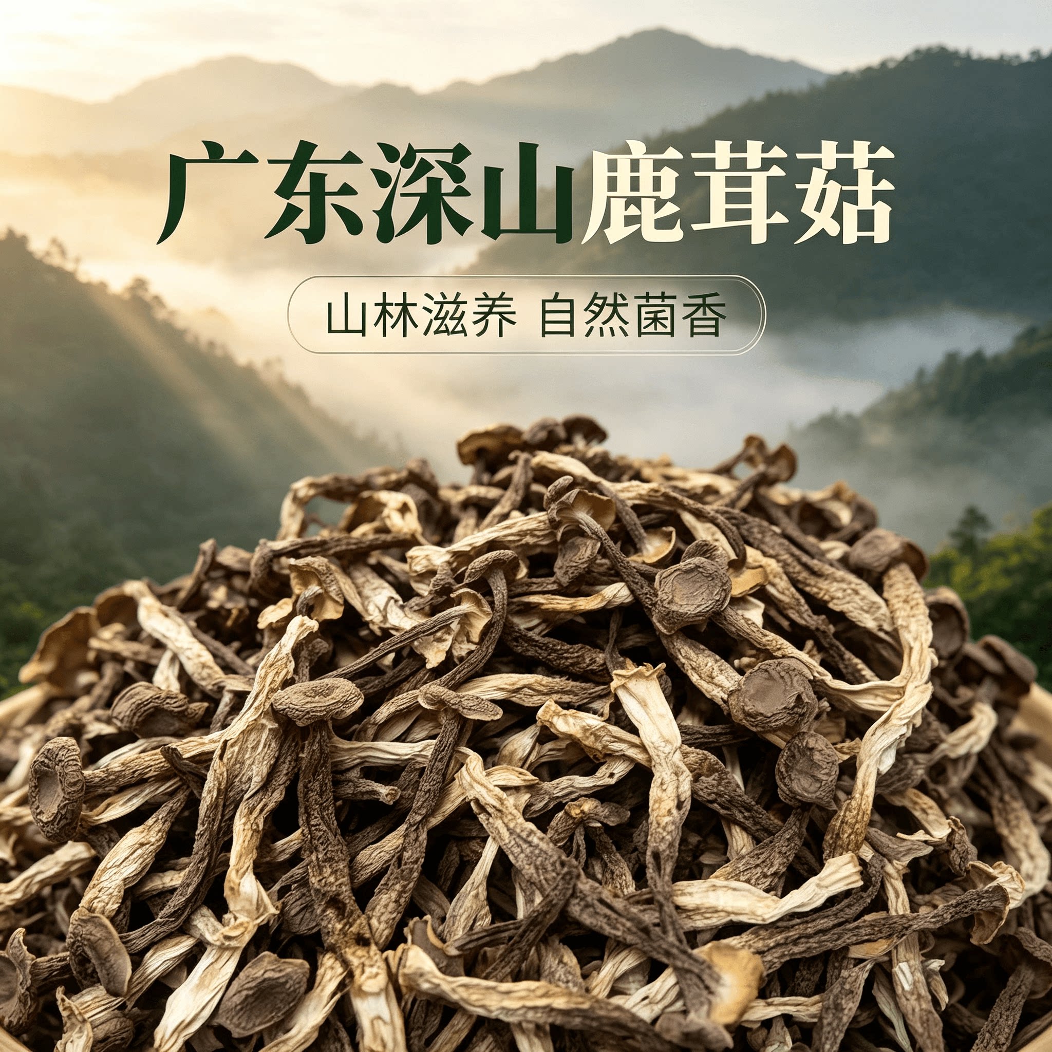 广东高山鹿茸菇干货500g新鲜正品鹿茸菌特产级批发送礼爽脆火锅料