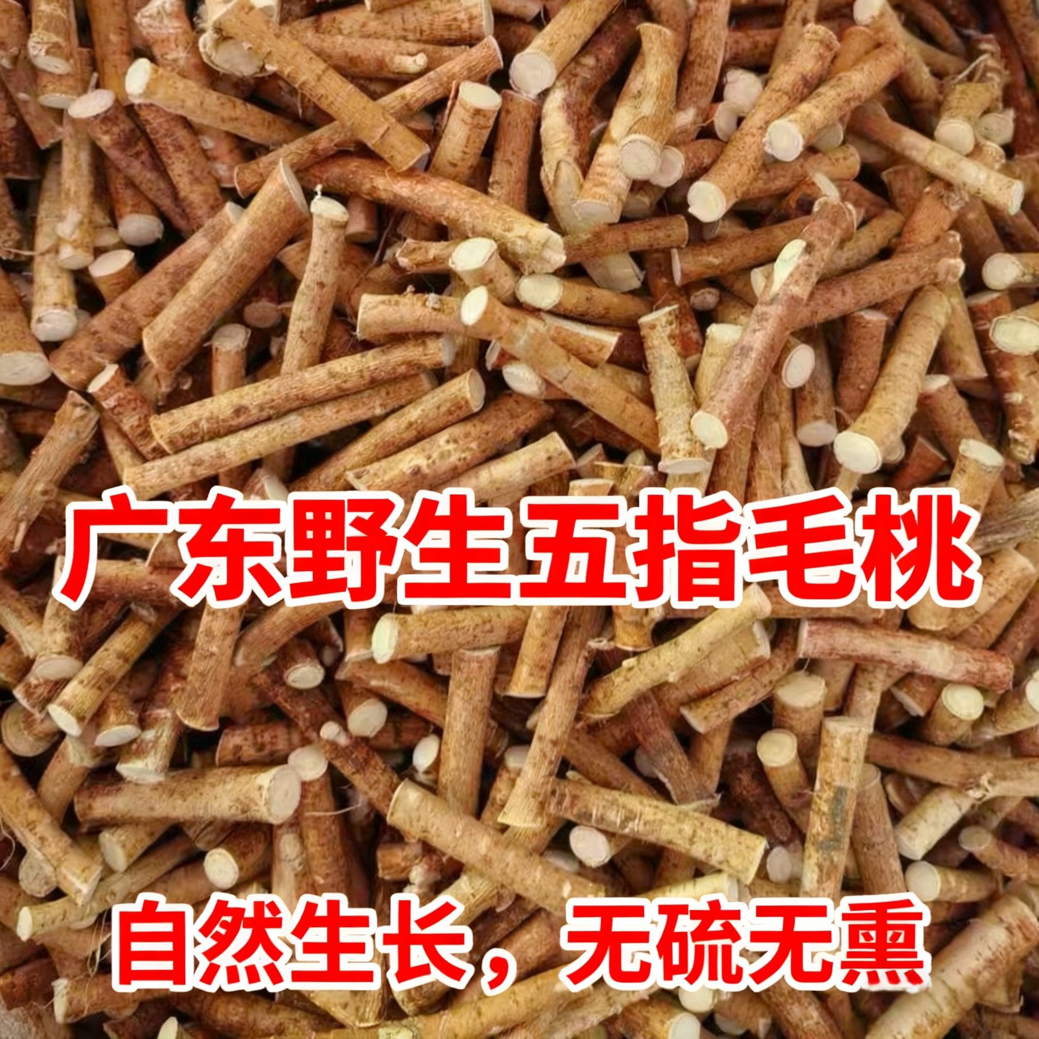 广东深山新鲜野生五指毛桃根中药材搭土茯苓牛大力煲汤椰香味满满