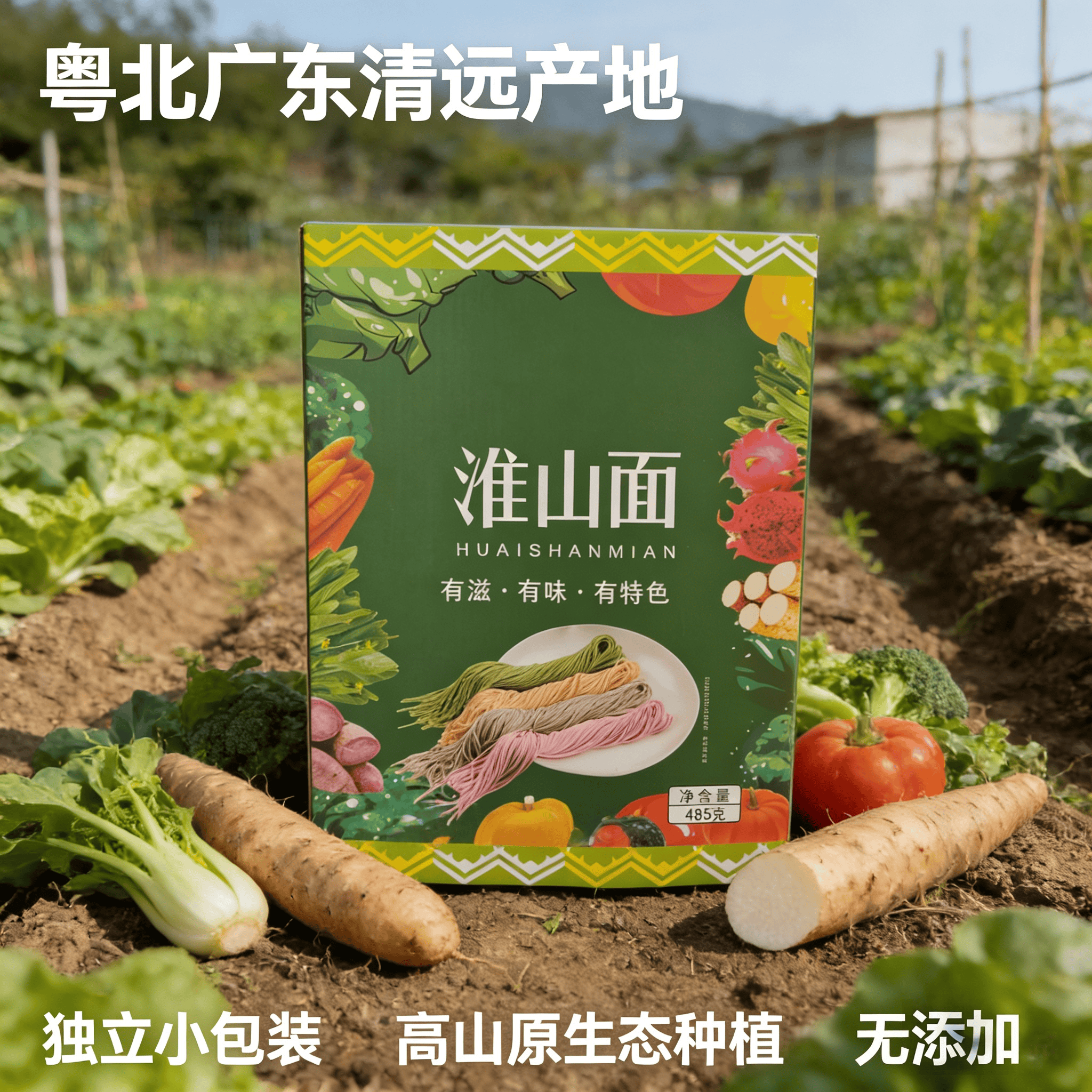 广东独立包装老人宝宝小孩都爱吃送无添加手工淮山面条485g礼盒装