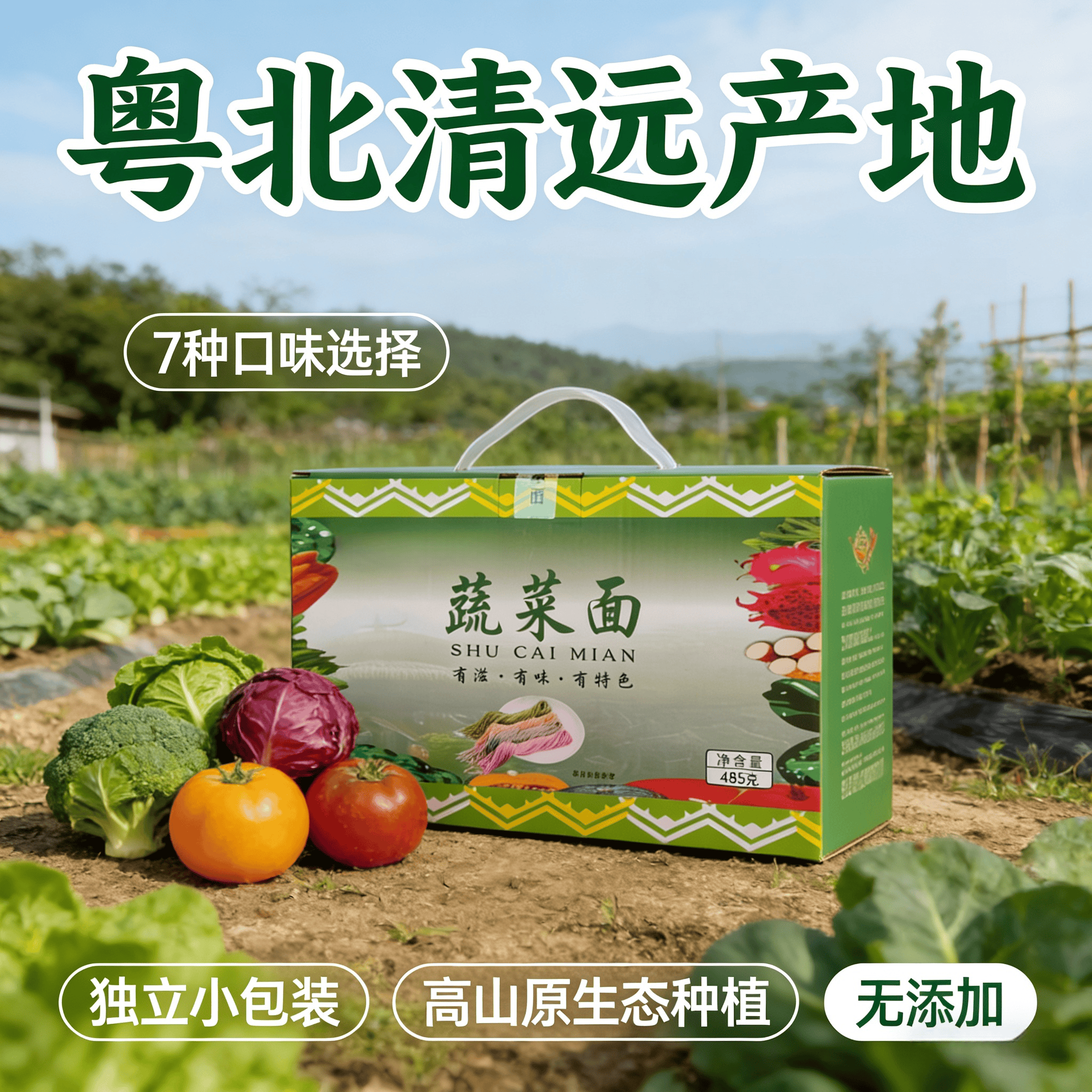 广东山药蔬菜面条挂面无添加菜心淮山紫薯南瓜红萝卜黄桃火龙果面