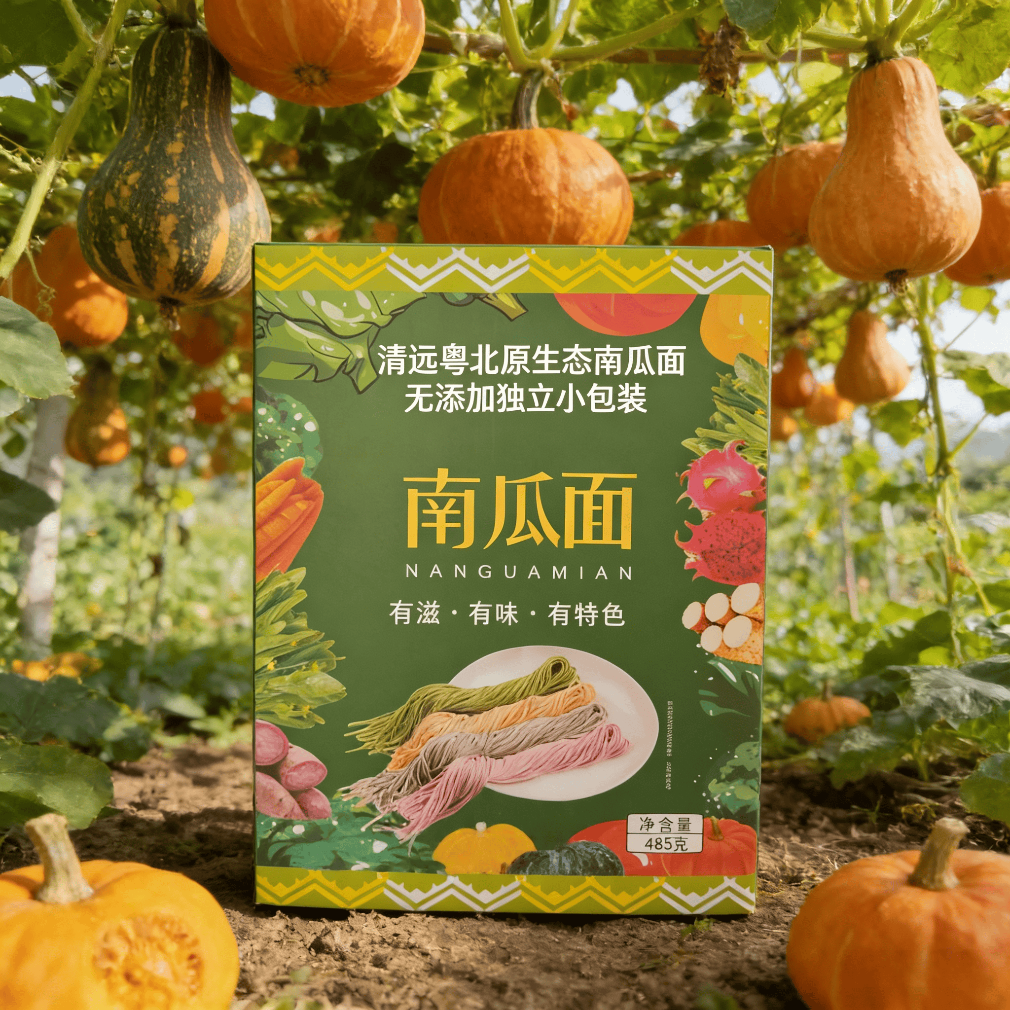 广东粤北独立包装挂面老人小孩都适合送礼盒装无添加手工南瓜面条