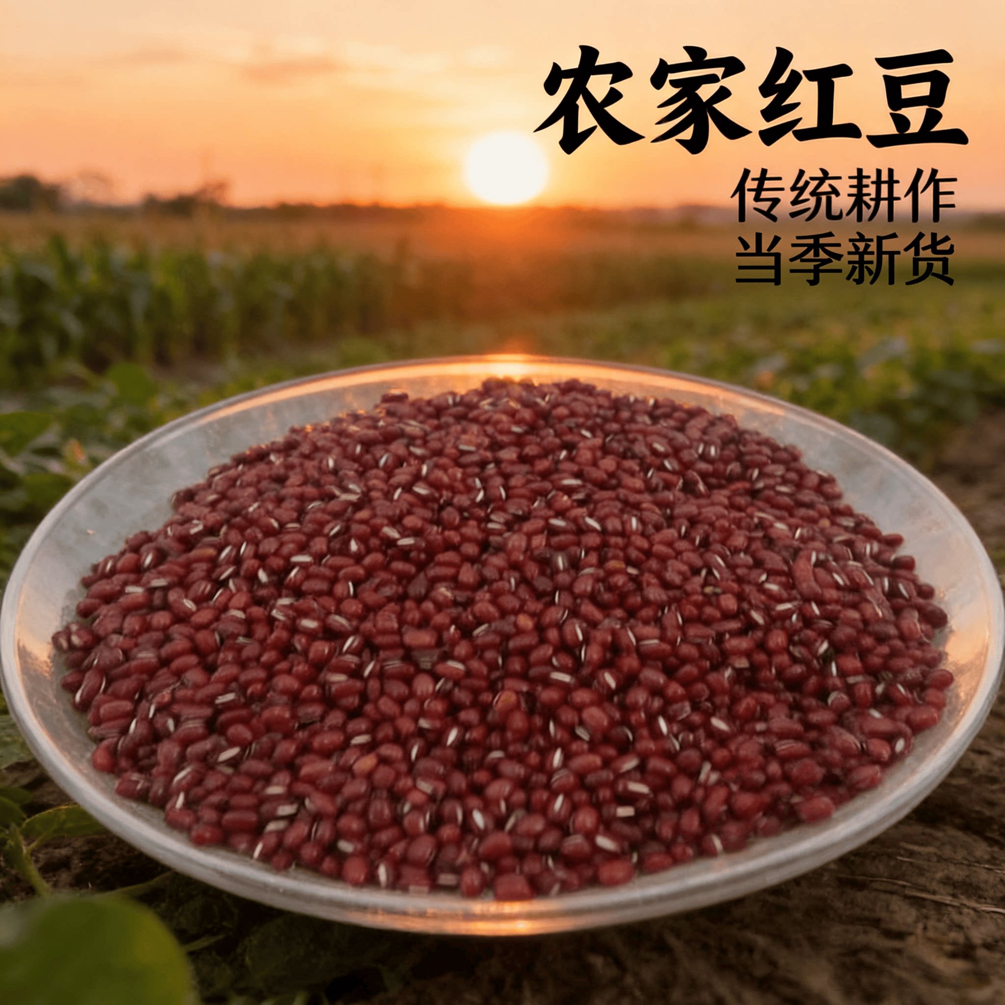 广东新货红豆本地农家自种煲汤煲糖水红豆沙红豆糕原料杂粮豆易煮
