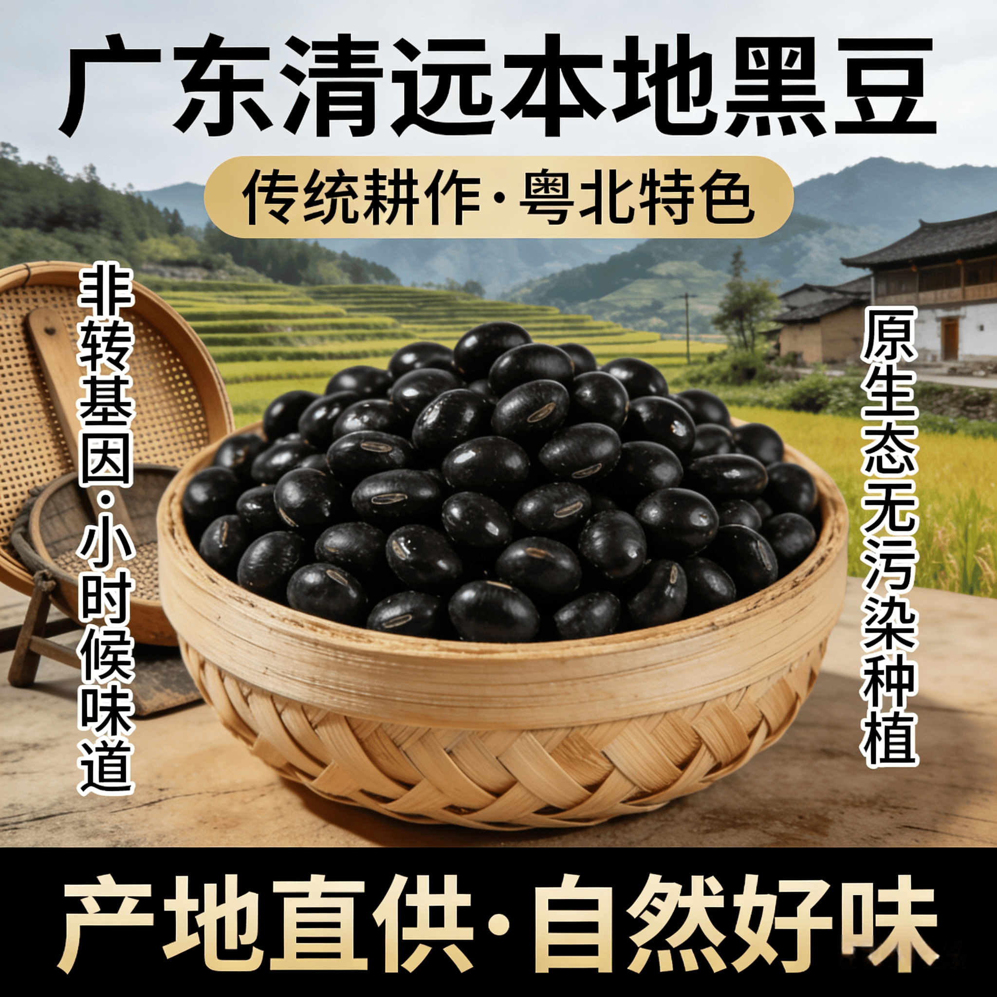广东粤北高山农家自种黄心绿芯小黑豆打豆浆专用新货非转基因正品