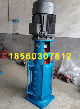 65DLx11 博山水泵 65DL30-16x11 热水泵 立式多级离心泵 30kw