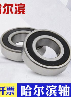 哈尔滨 轴承 6018 6019 6020 6021 6022 6024-2Z/-2RZ 哈尔滨电机