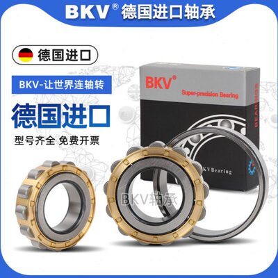 德国BKV进口圆柱滚子轴承N 304 305 306 307 308 309 310 311M