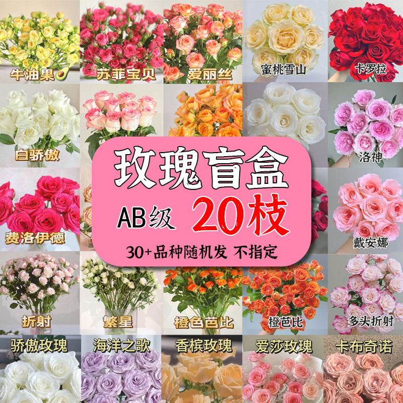 随机色单头玫瑰 香型昆明斗南顺丰基地直发鲜切花材卉