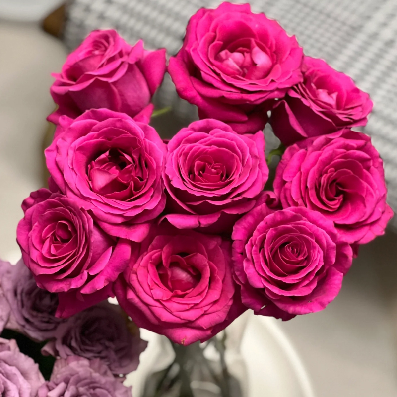 玫瑰牡丹菊鲜花花束装饰品客厅厨房送闺蜜美观鲜切花直播间